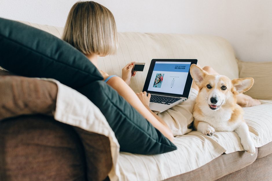 How Does All Pet Card Financing Work for Veterinary Care?