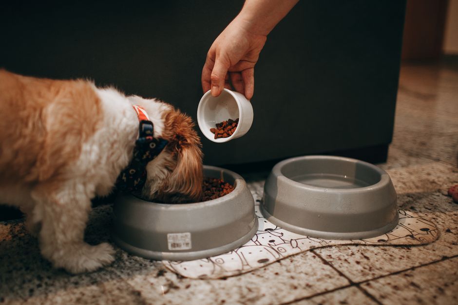 How Should I Time Levothyroxine Around Breakfast, Coffee, and Supplements?